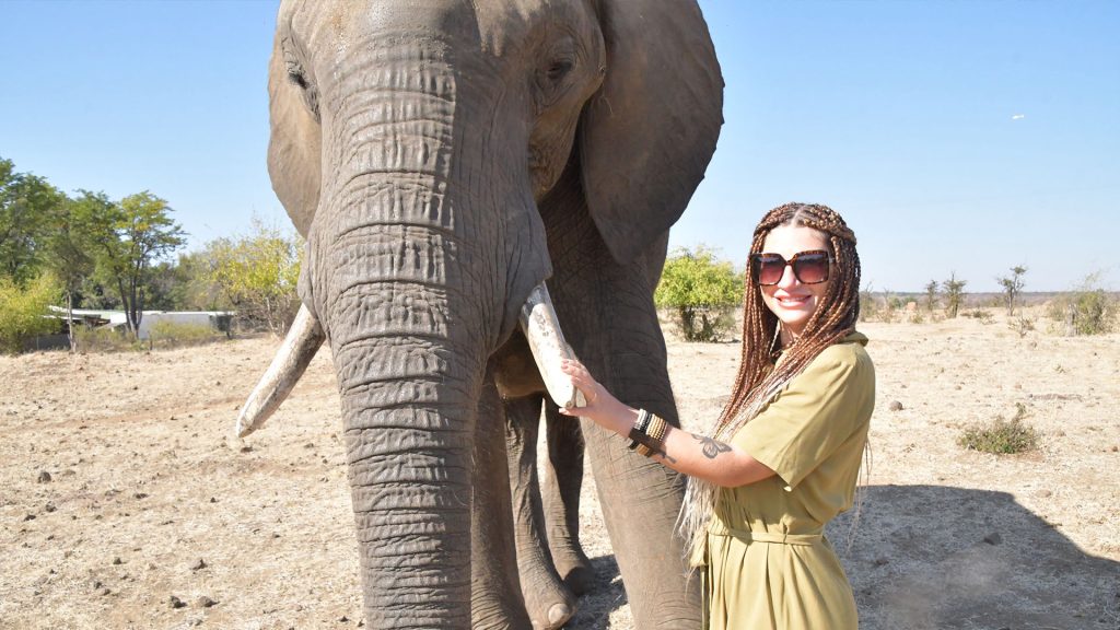 A woman standing next to an elephant as part of the Elephant experience 