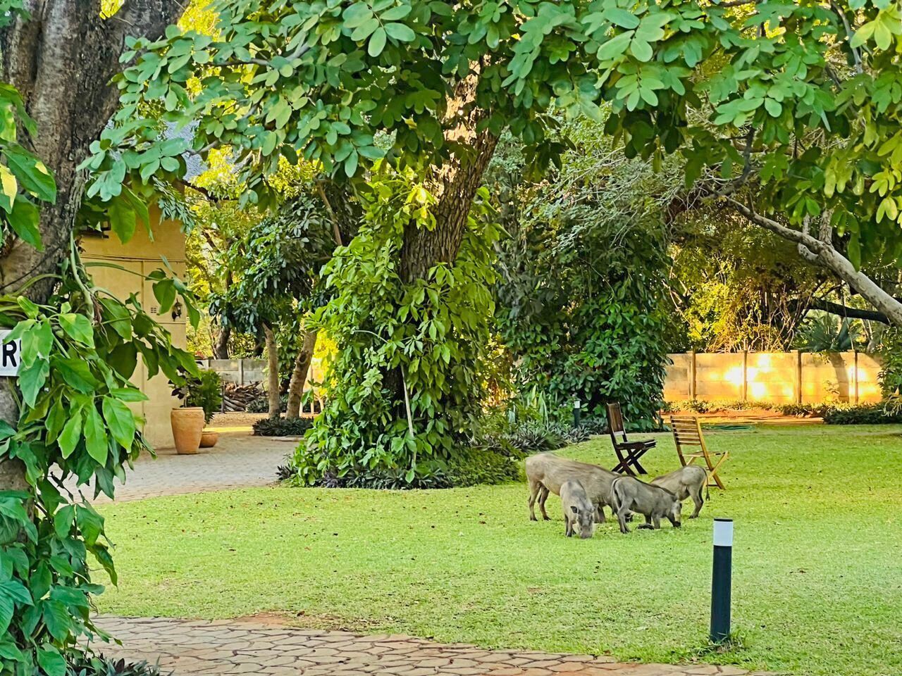 Mopani Lodge Victoria Falls